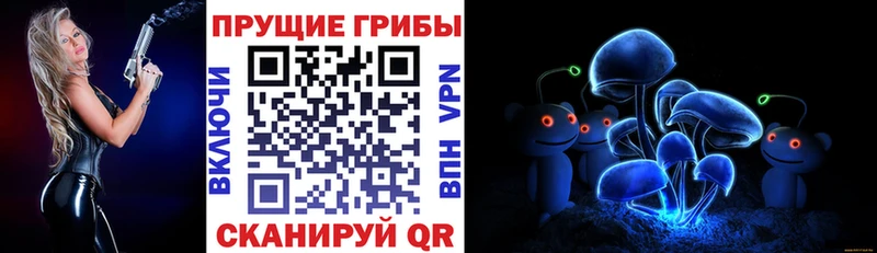 цены   Ессентукская  Галлюциногенные грибы Psilocybe 